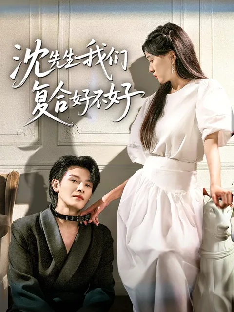 沈先生我们复合好不好