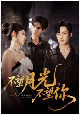 不望月光不望你