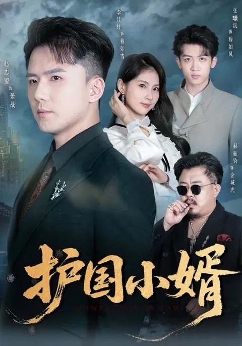 《护国小婿》剧情揭秘