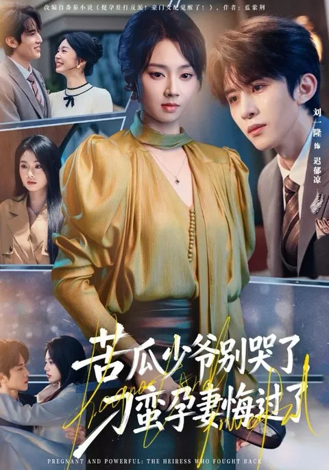 《苦瓜少爷别哭了，刁蛮孕妻悔过了》：一场情感纠葛的剧情演绎