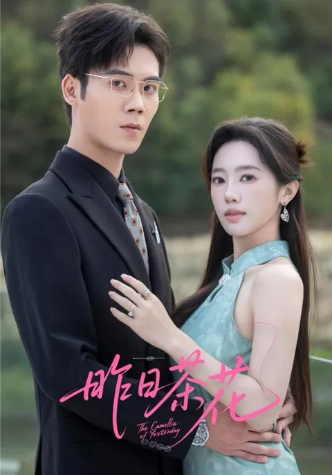 《昨日茶花》剧情跌宕起伏