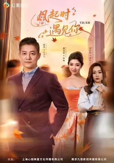 剧情精妙《风起时遇见你》不容错过
