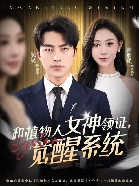 与神秘女神的浪漫之旅：觉醒系统剧情解析