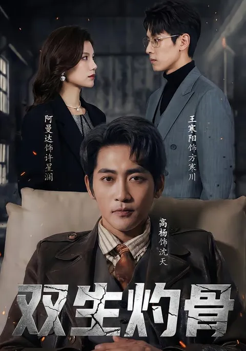 剧情激烈：双生灼骨