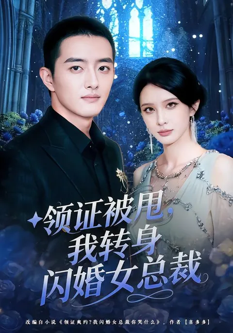 一段情感纠葛——《领证被甩，我转身闪婚女总裁》剧情揭秘