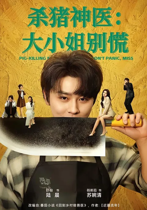 悬疑搞笑的《杀猪神医，大小姐别慌》剧情剖析