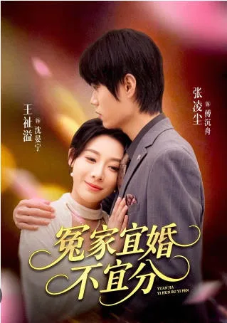爱情错综复杂,《冤家宜婚不宜分》带你走进这段情路
