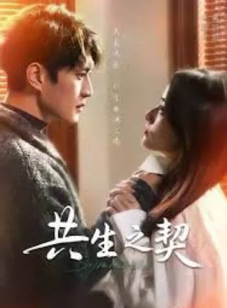 《共生之契》：国语爽文短剧，全67集合集