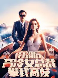 弃婚后,高冷女总裁攀我高枝